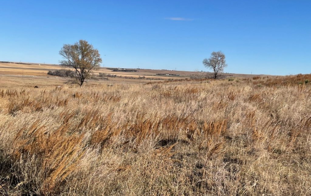 Nebraska land for sale - Grassland, Chappell, Nebraska
