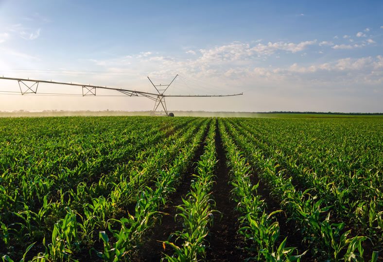 An image representing Nebraska farms for sale listings by Lashley Land - A pivot working in a green corn field.