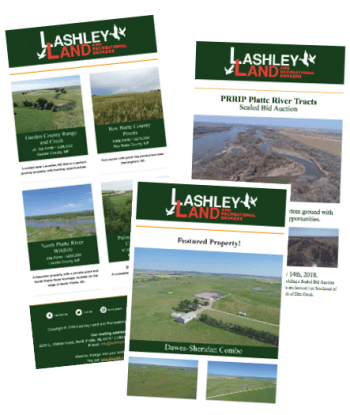 Lashley Land newsletter example pic.