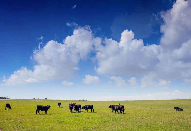 Nebraska Ranches for Sale - Lashley Land