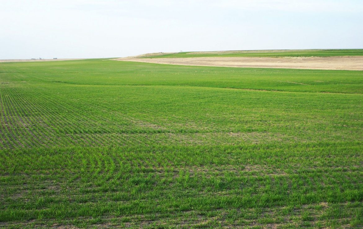 Cheyenne County Land