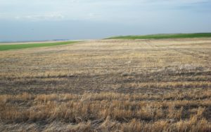 Cheyenne County Land