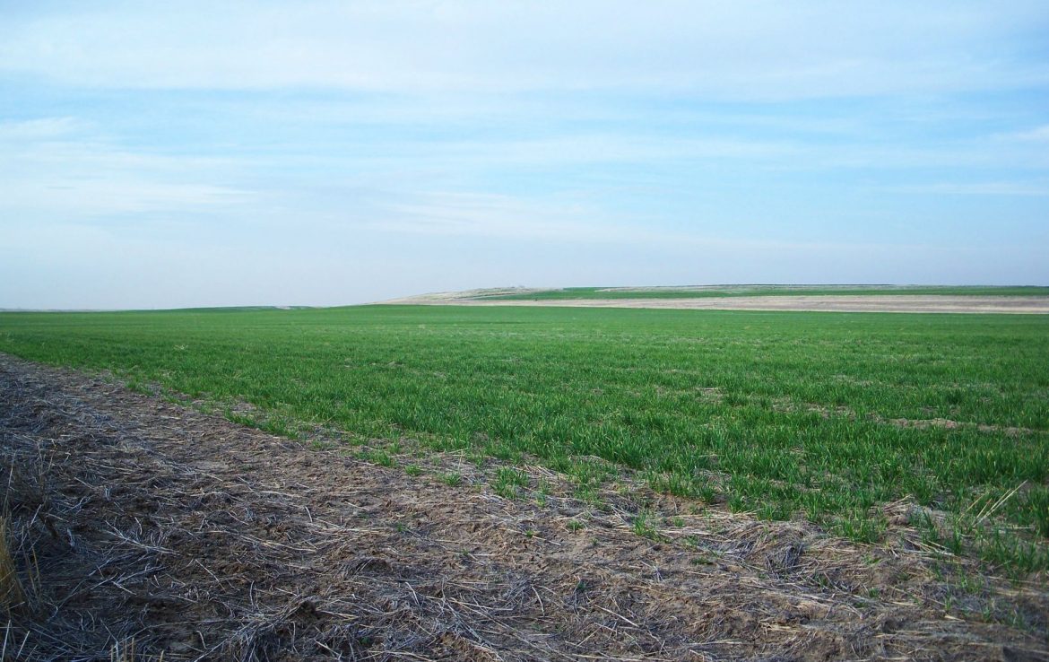 Cheyenne County Land