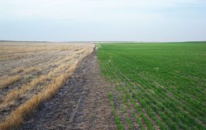 Cheyenne County Land