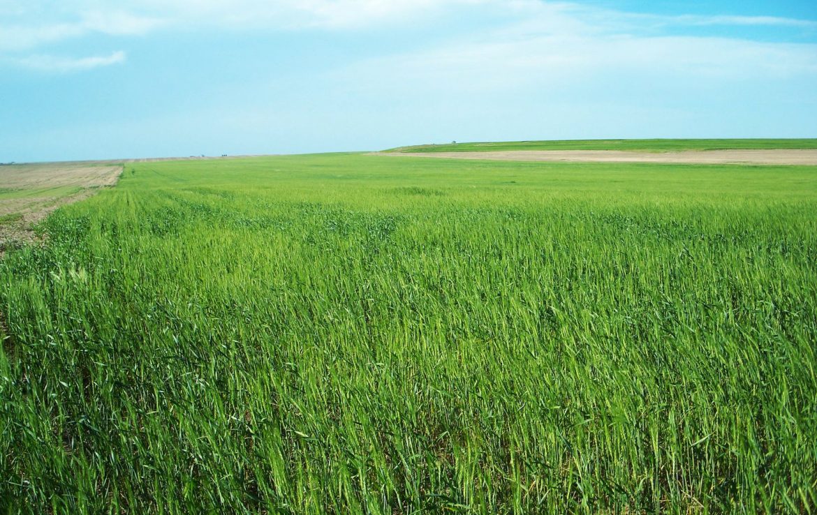 Cheyenne County Land