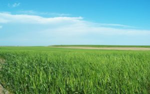 Cheyenne County Land