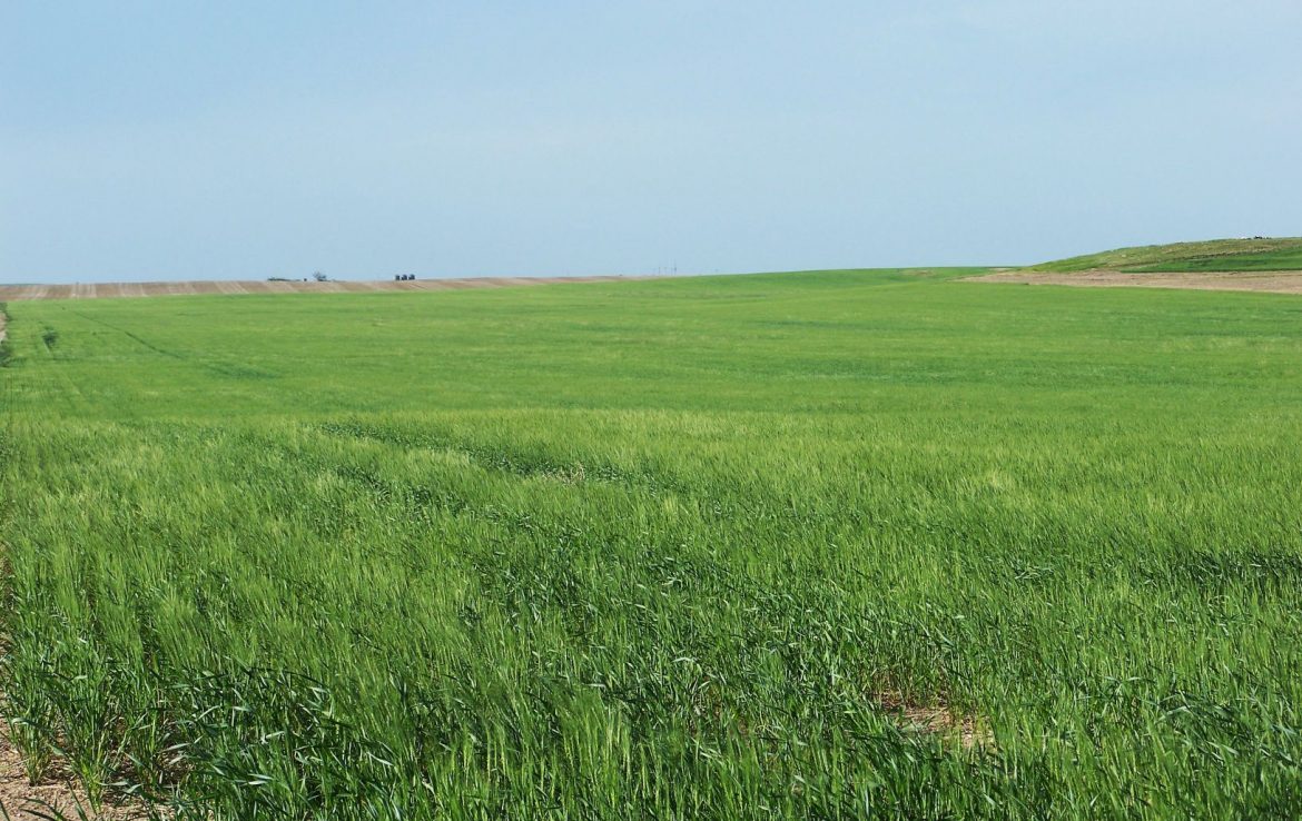 Cheyenne County Land