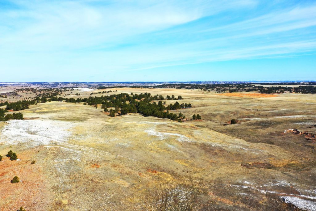 841 Acres, Cheyenne County - Cheyenne County Wildlife Michael G. Lashley | Lashley Land and Recreational Brokers