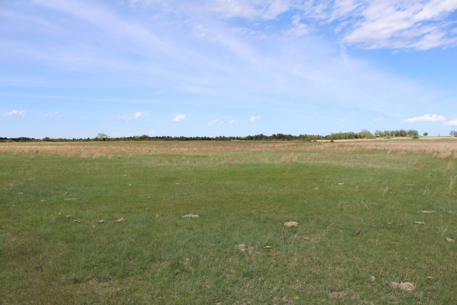 595 Acres, Brown County – Dutch Creek Range and Wildlife