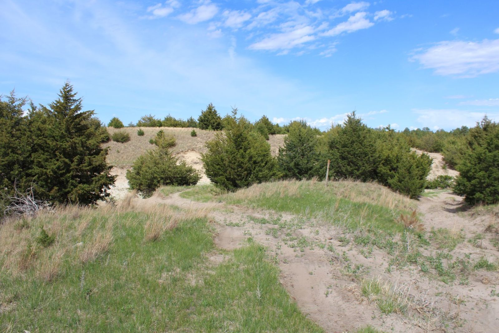 595 Acres, Brown County – Dutch Creek Range and Wildlife