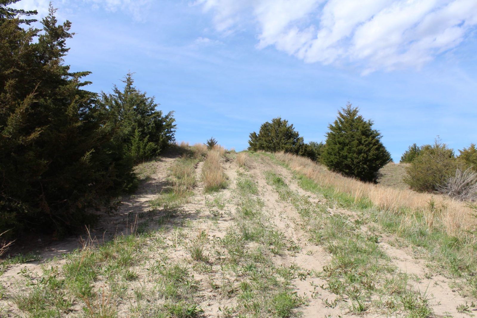 595 Acres, Brown County – Dutch Creek Range and Wildlife