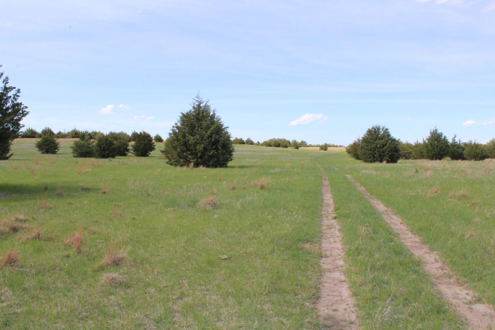 595 Acres, Brown County – Dutch Creek Range and Wildlife