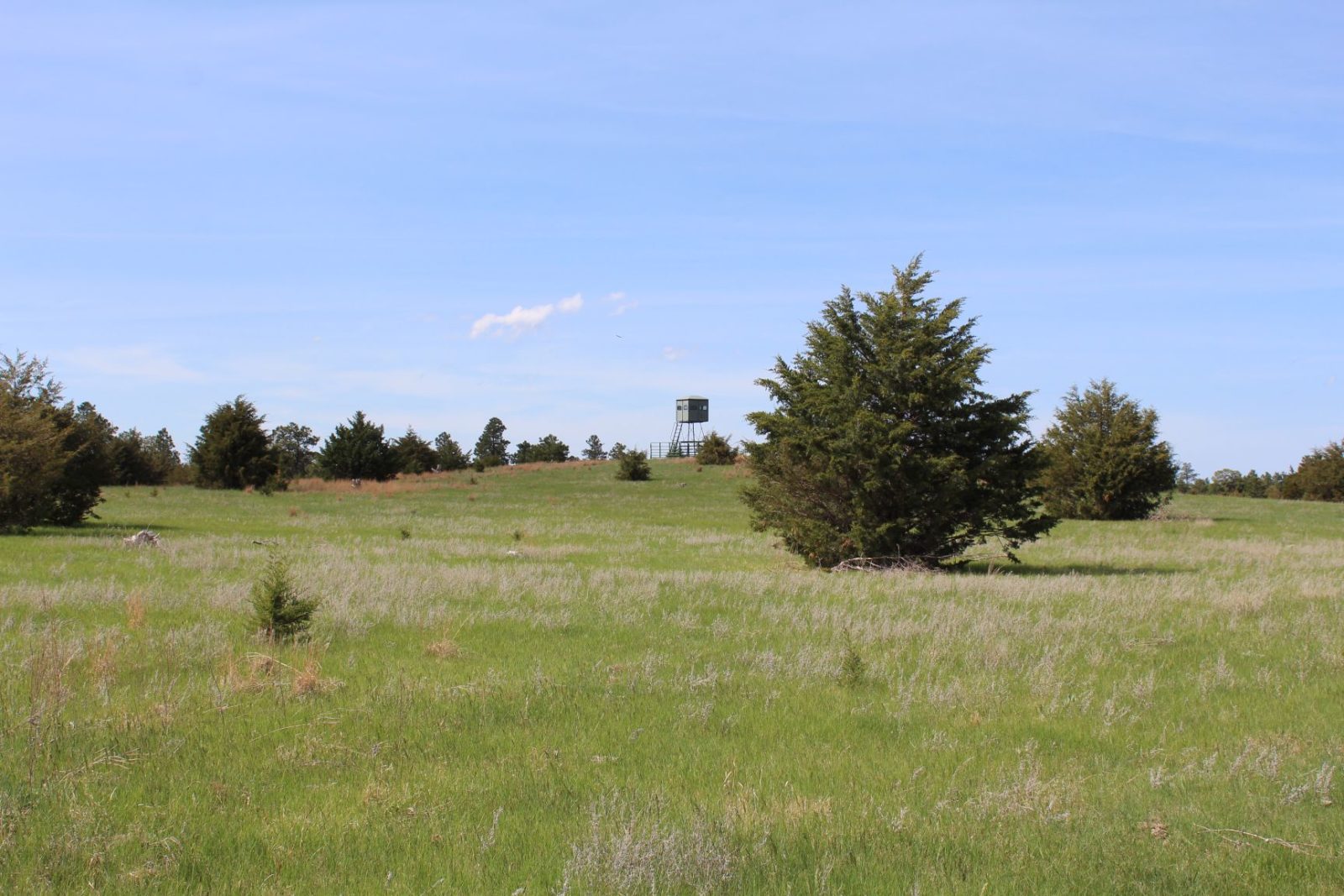 595 Acres, Brown County – Dutch Creek Range and Wildlife