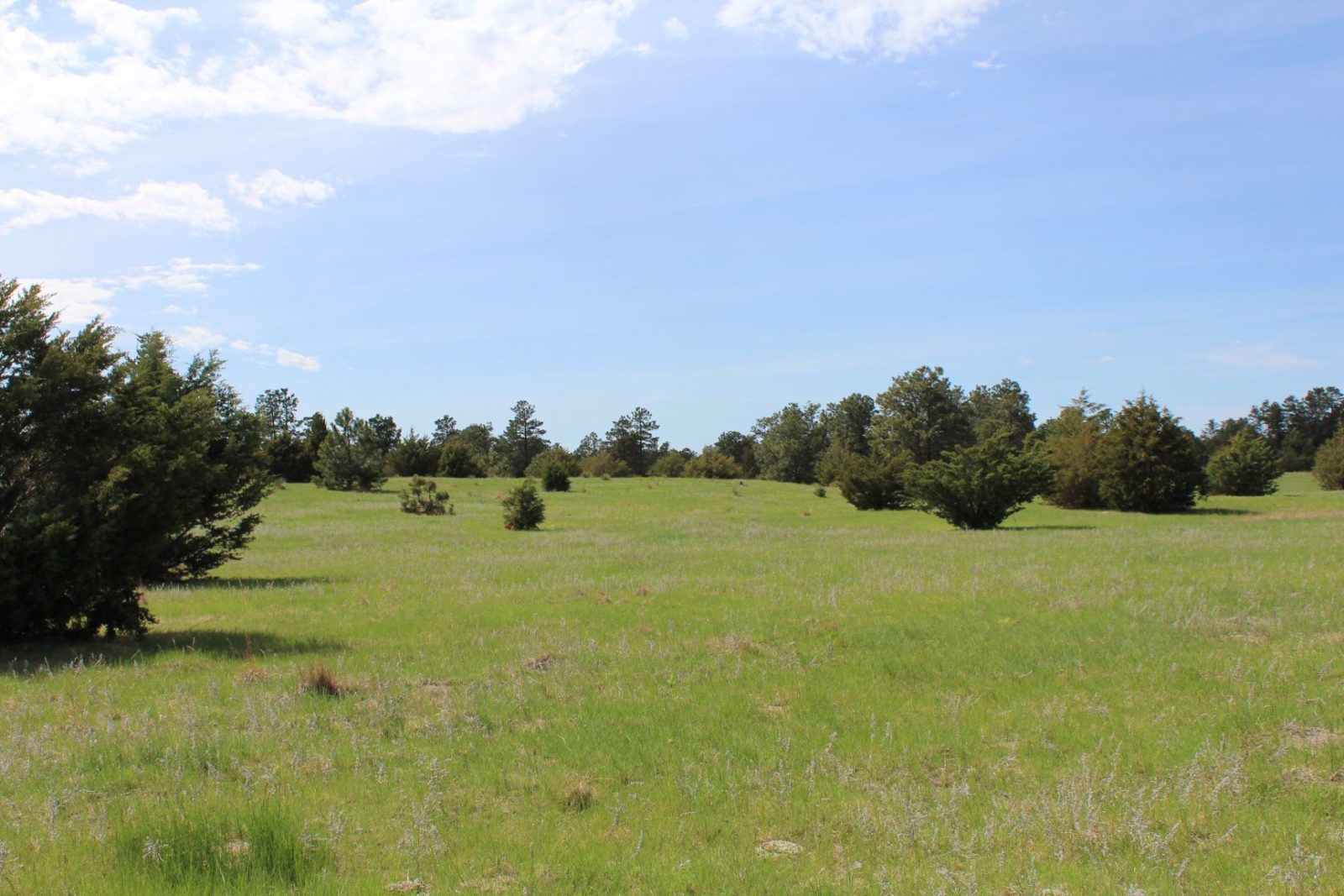 595 Acres, Brown County – Dutch Creek Range and Wildlife