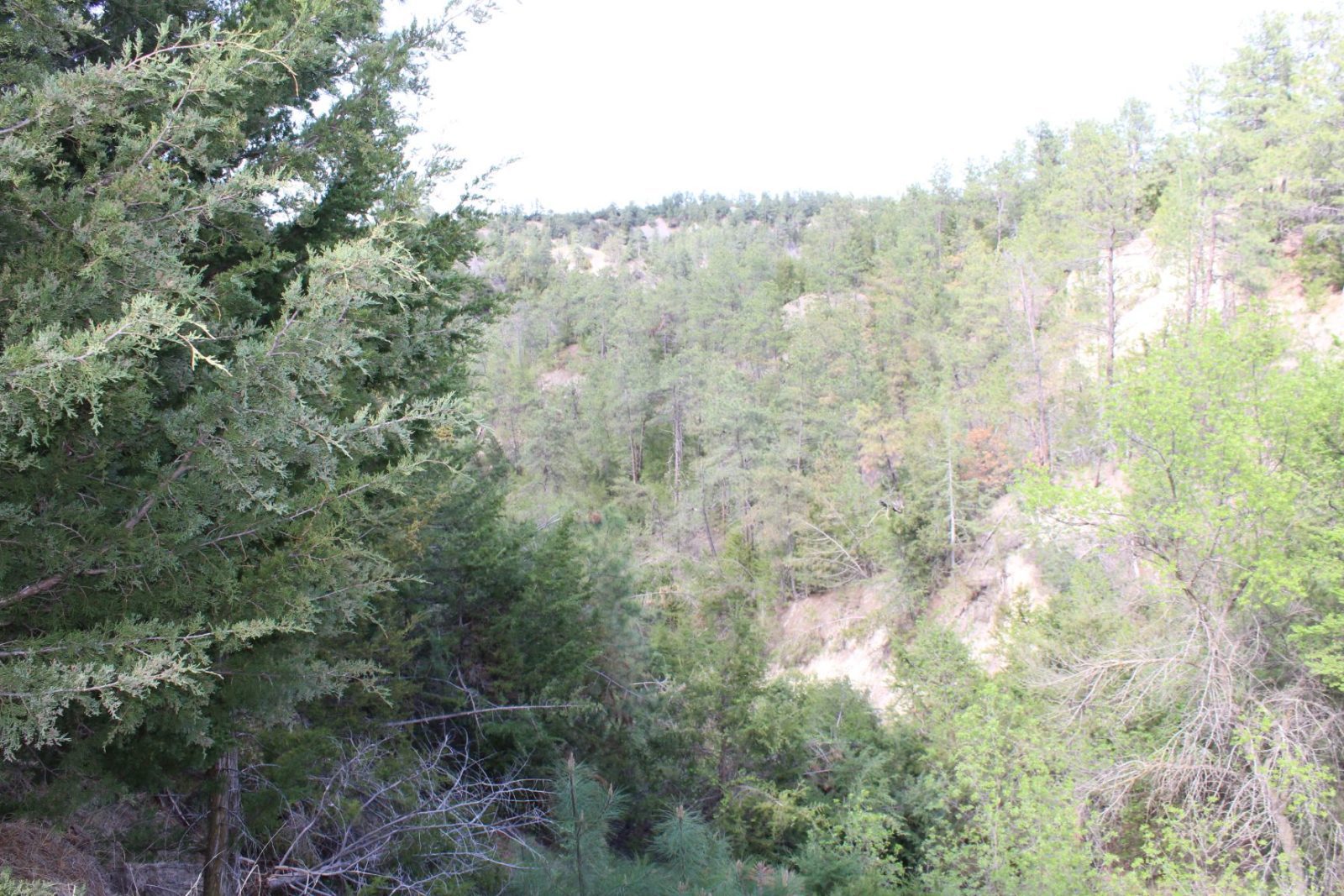 595 Acres, Brown County – Dutch Creek Range and Wildlife