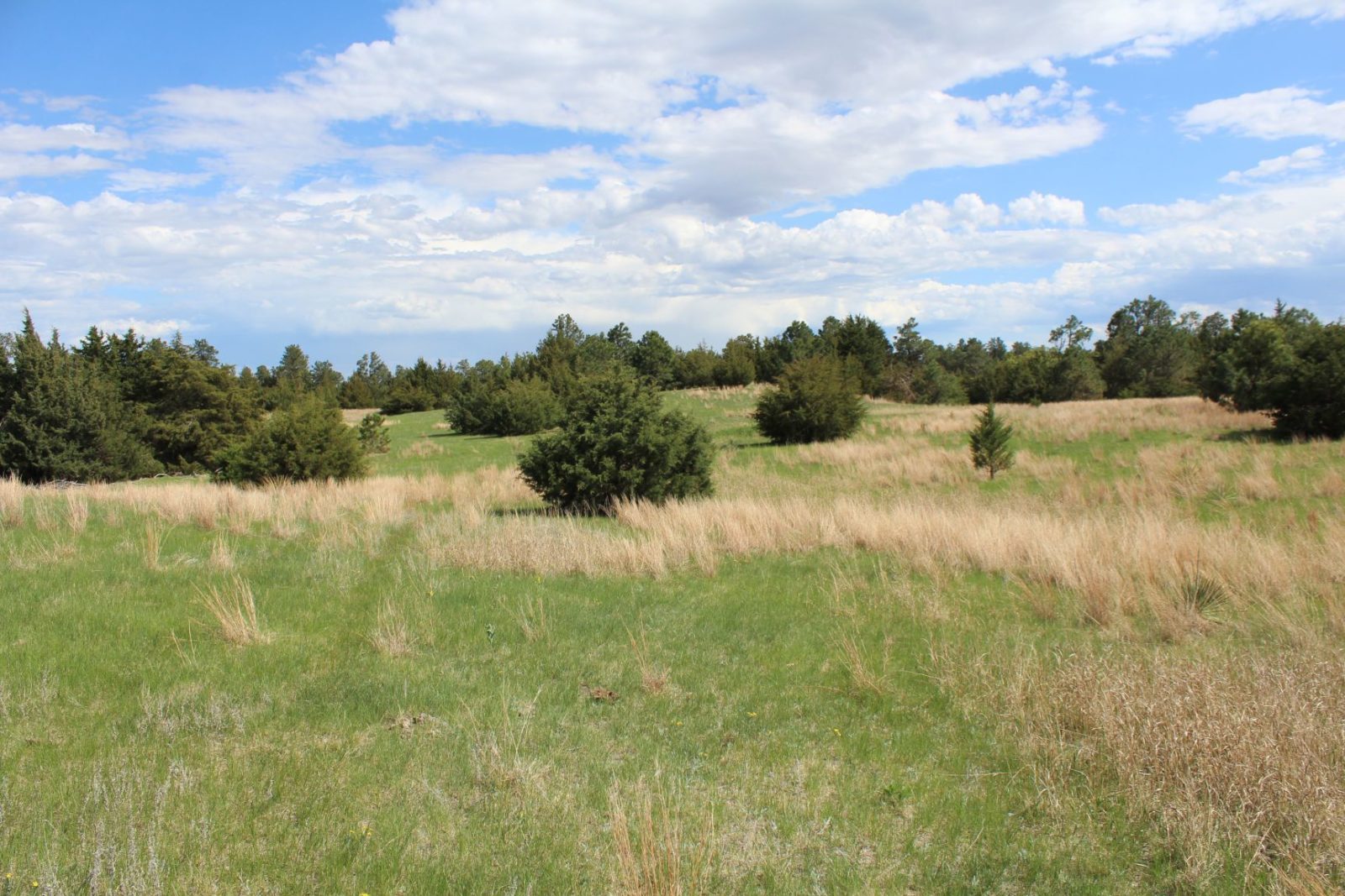 595 Acres, Brown County – Dutch Creek Range and Wildlife