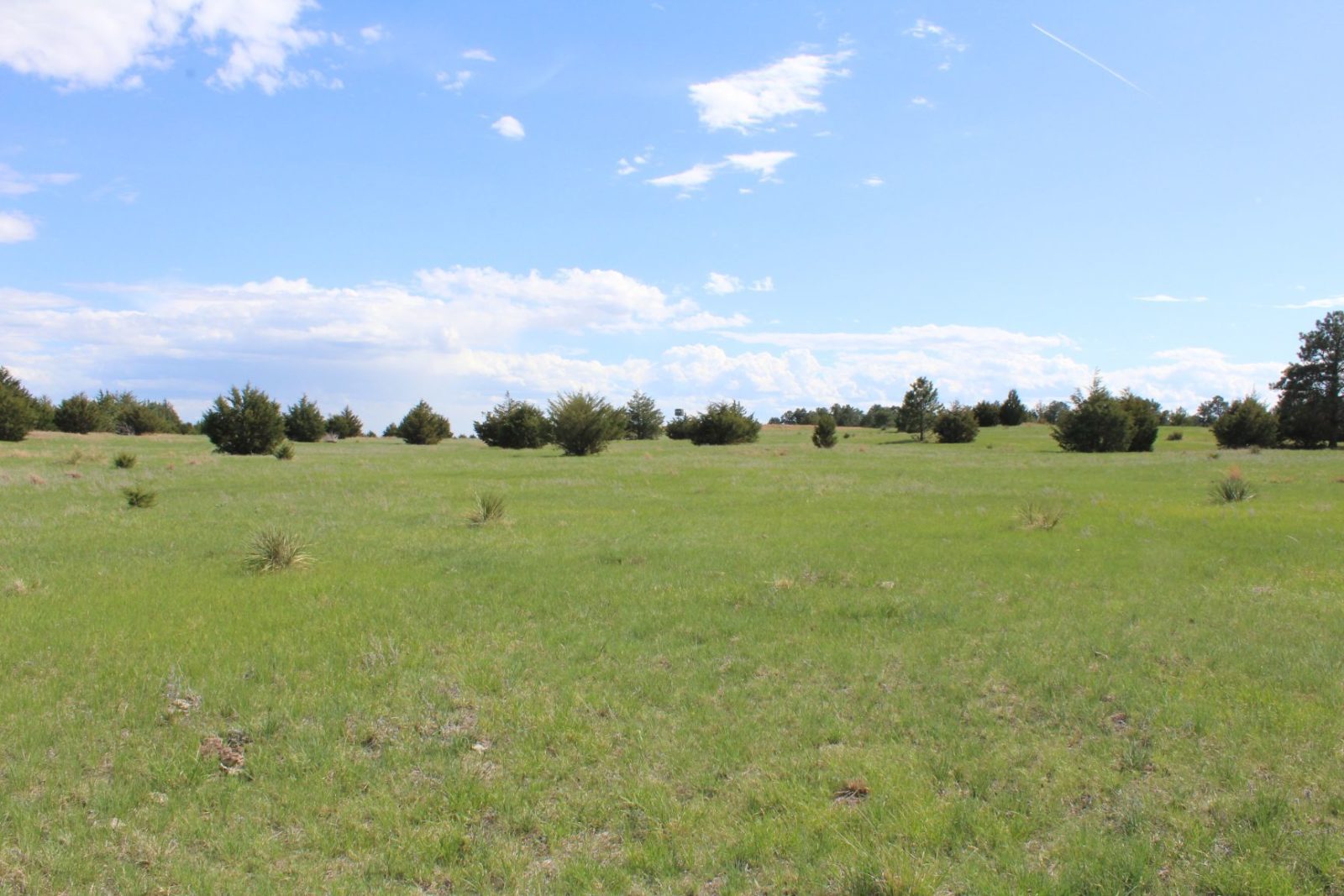 595 Acres, Brown County – Dutch Creek Range and Wildlife