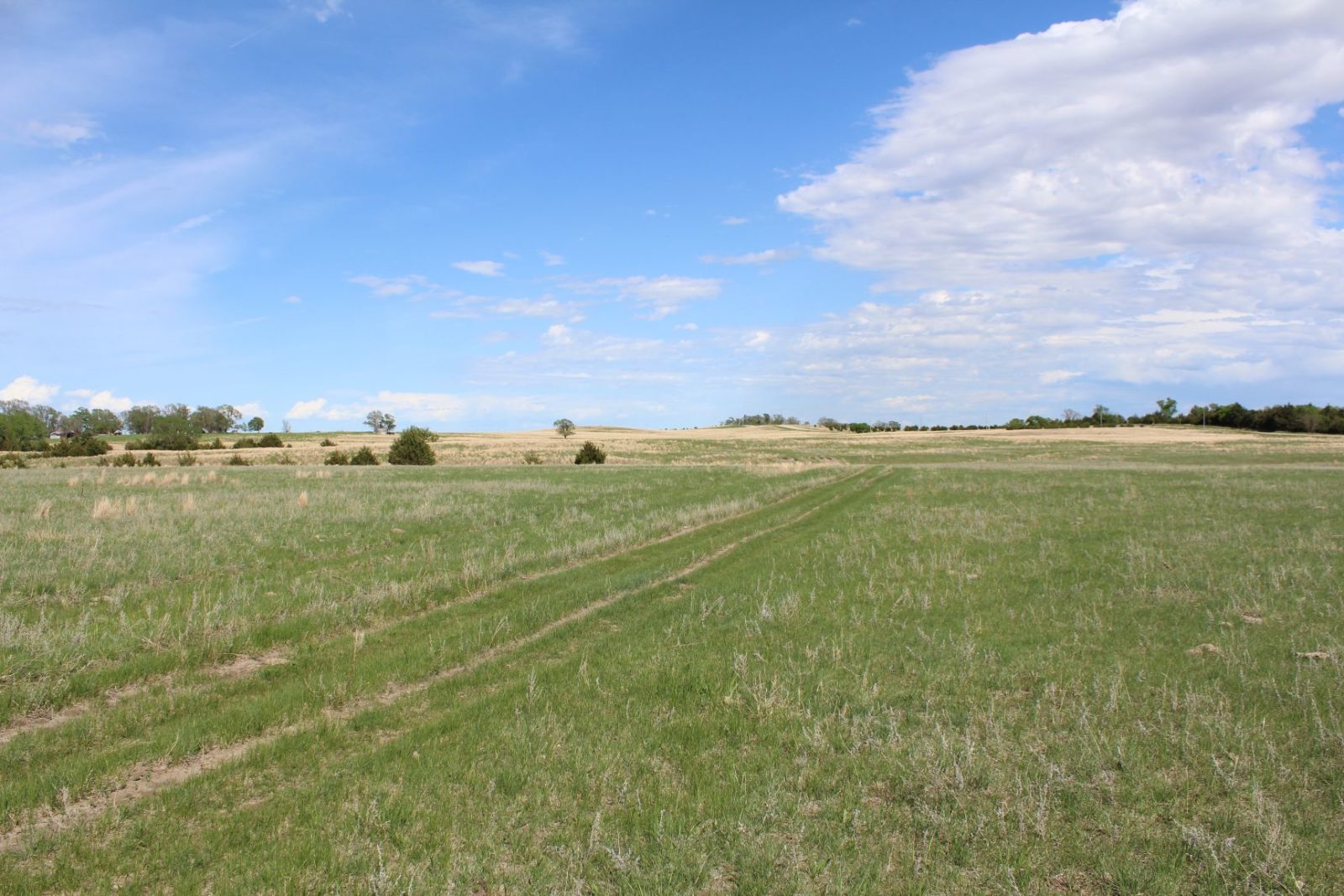 595 Acres, Brown County – Dutch Creek Range and Wildlife
