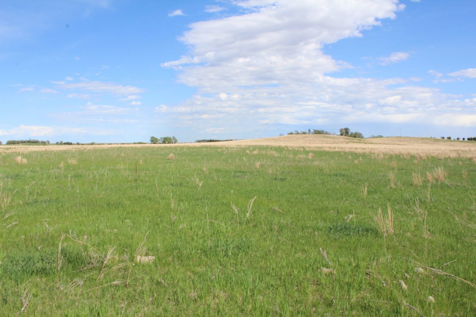 595 Acres, Brown County – Dutch Creek Range and Wildlife