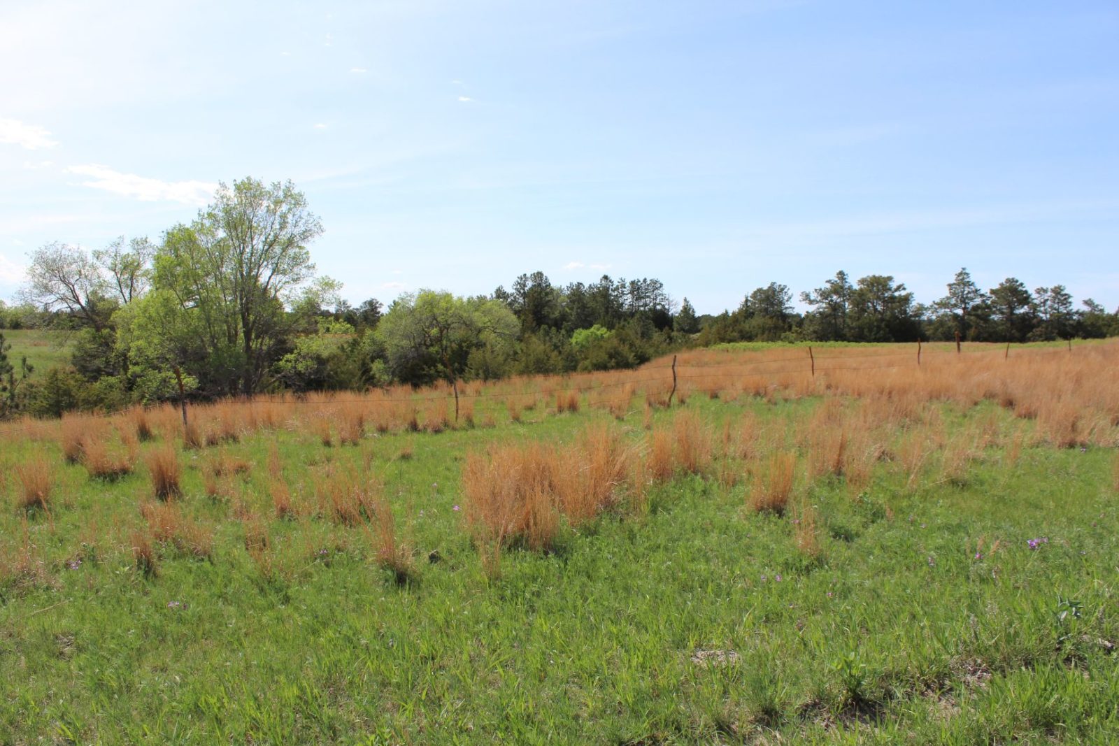 595 Acres, Brown County – Dutch Creek Range and Wildlife