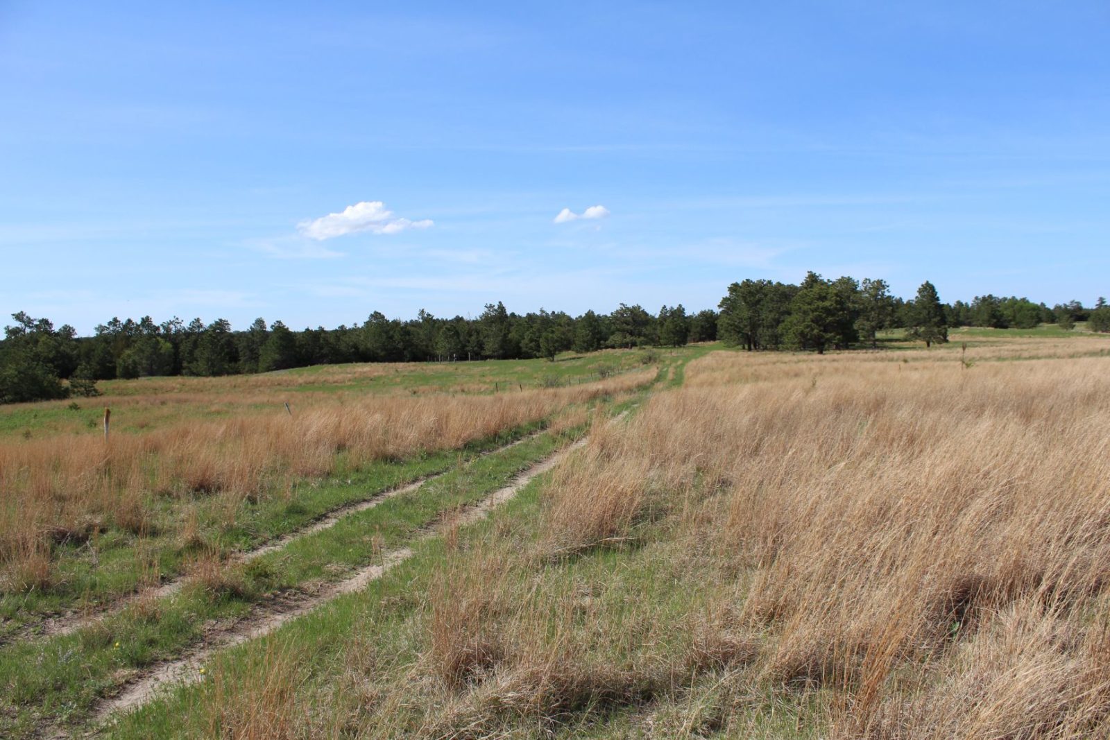 595 Acres, Brown County – Dutch Creek Range and Wildlife