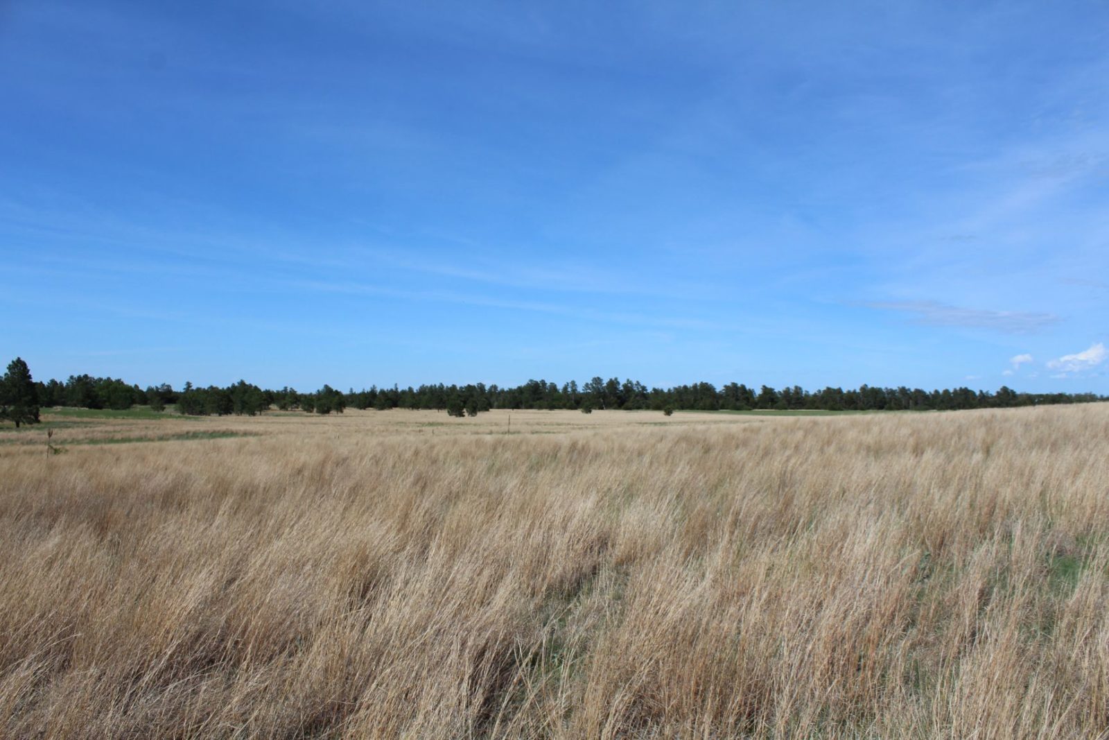 595 Acres, Brown County – Dutch Creek Range and Wildlife