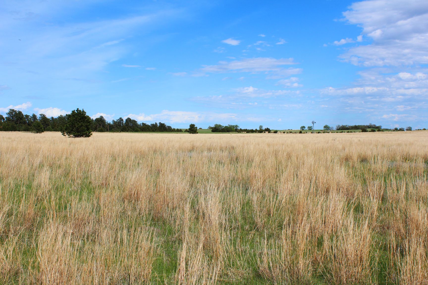 Dutch Creek Range and Wildlife Land for Sale by Lashley Land