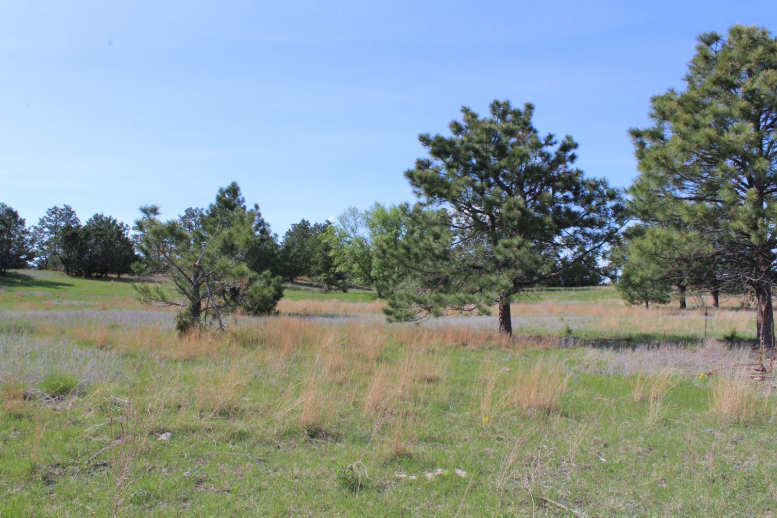 595 Acres, Brown County – Dutch Creek Range and Wildlife
