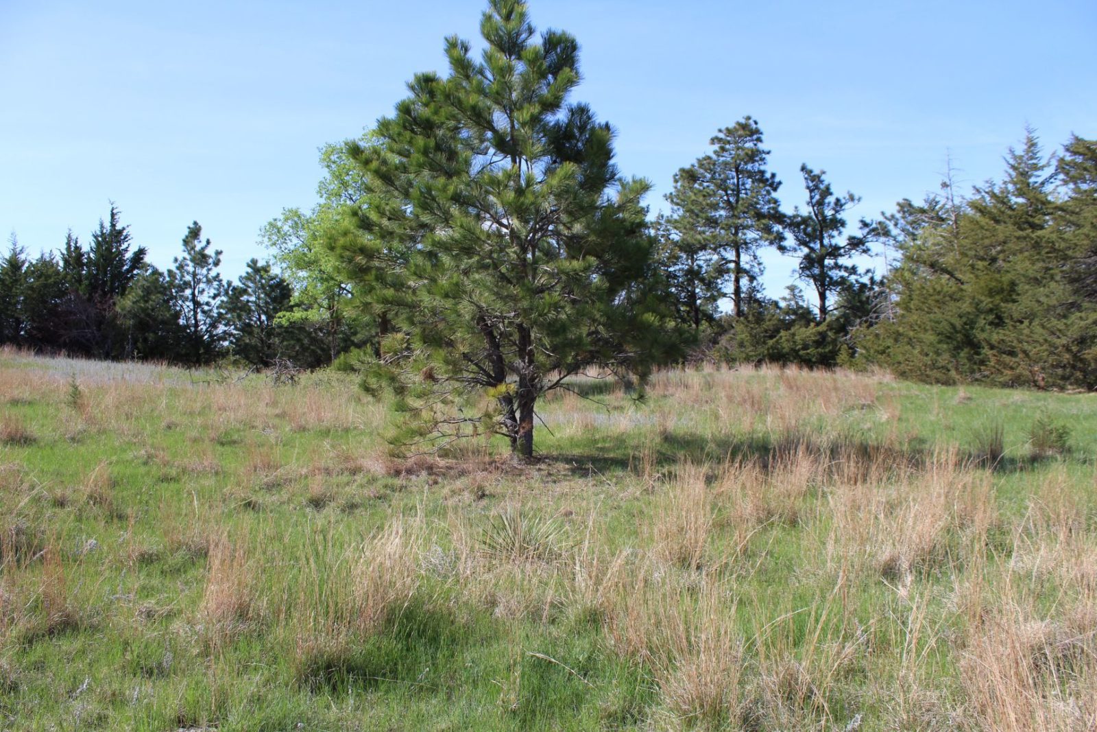 595 Acres, Brown County – Dutch Creek Range and Wildlife