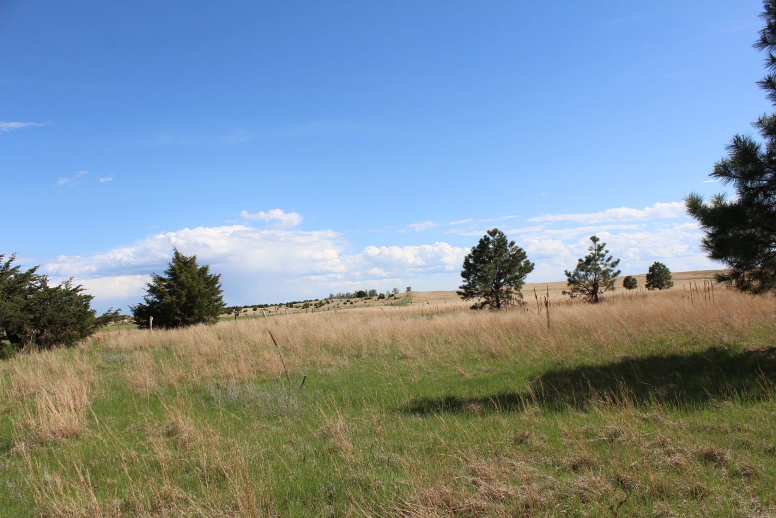 595 Acres, Brown County – Dutch Creek Range and Wildlife