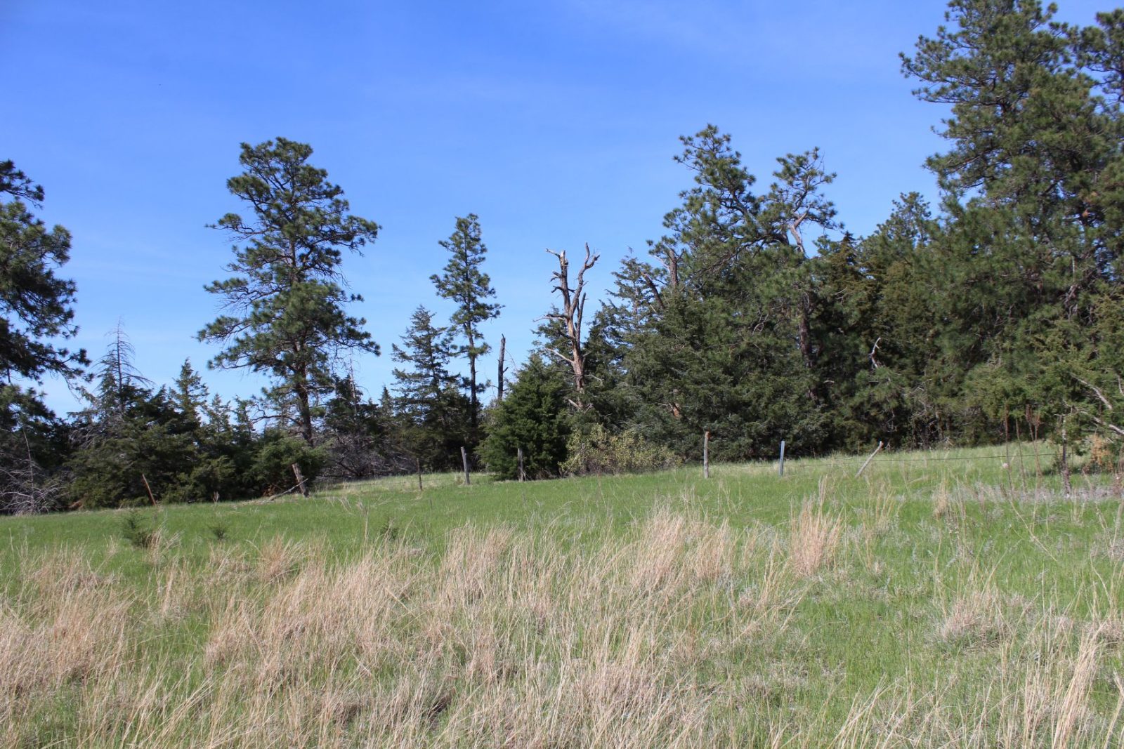 595 Acres, Brown County – Dutch Creek Range and Wildlife