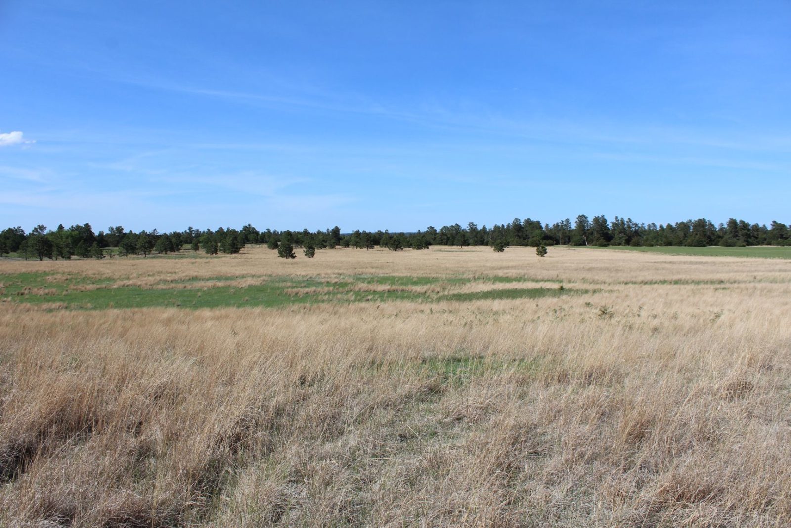 595 Acres, Brown County – Dutch Creek Range and Wildlife