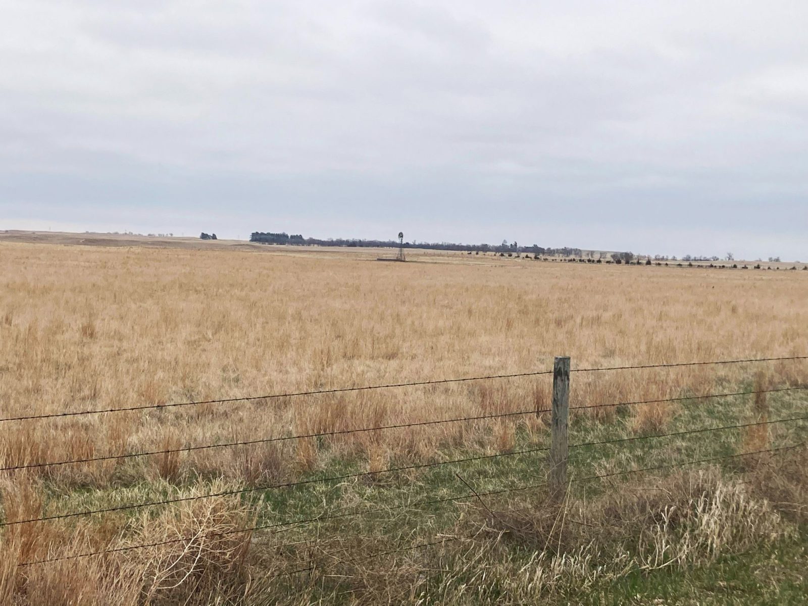155 Acres, Cherry County – Cherry County Grassland