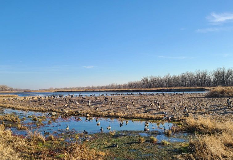 181 Acres, Dawson County - Platte River Waterfowl Lore Willow Island Wildlife | Lashley Land and Recreational Brokers