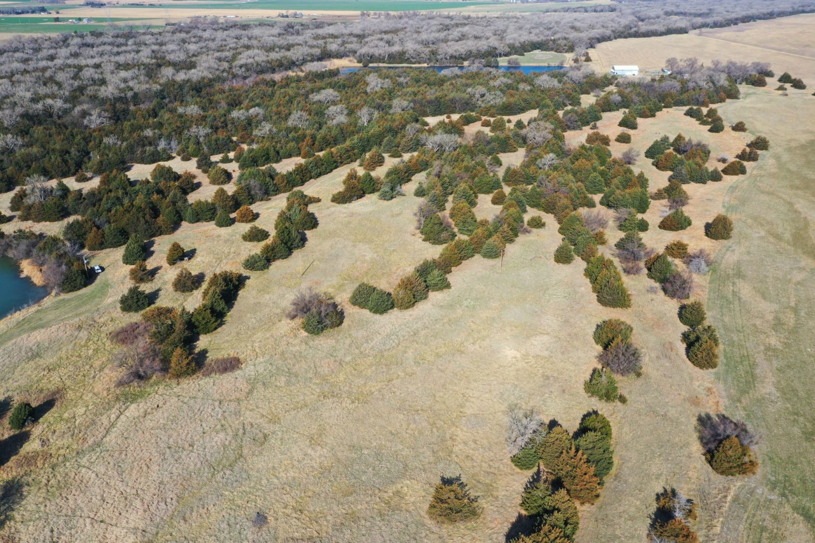 446 Acres, Lincoln County – Twin Lakes Wildlife