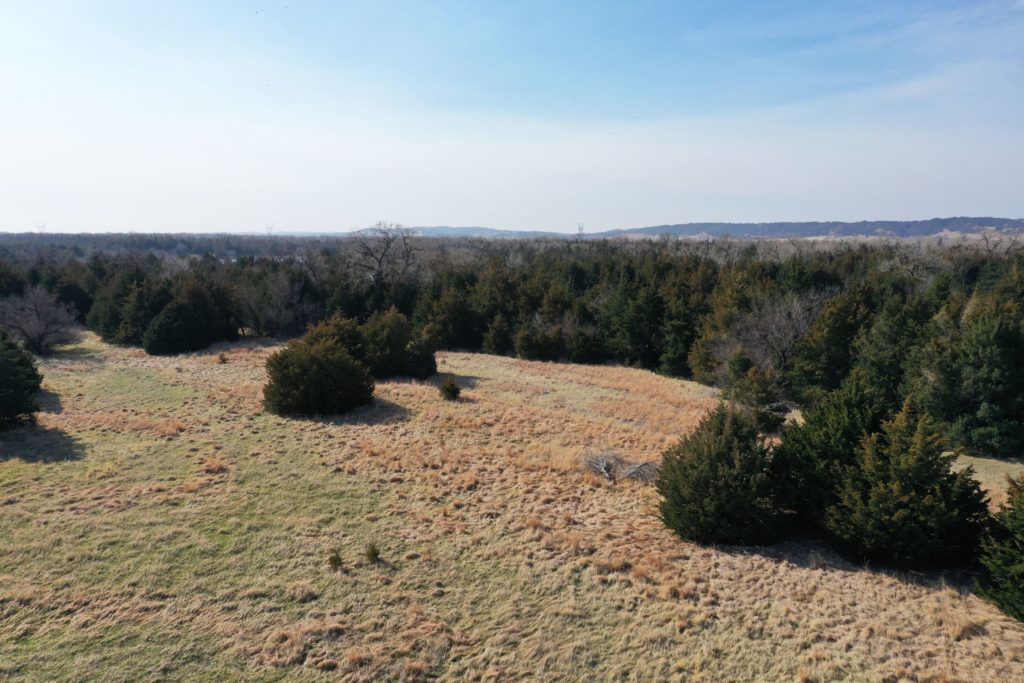 75 Acres, Lincoln County - Maxwell Deer and Turkey Hunting Haven 2061 W. Walker Rd. | Lashley Land and Recreational Brokers