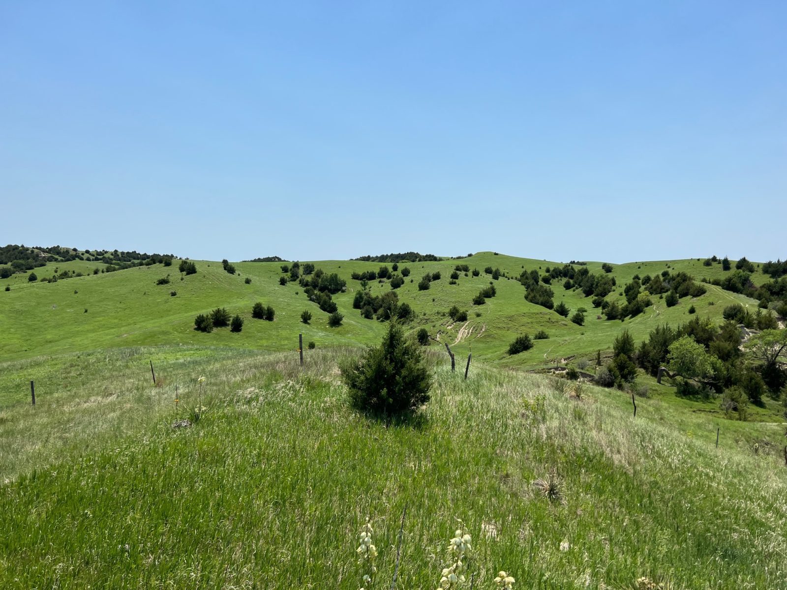199 Acres, Custer County – South Loup Recreation Getaway