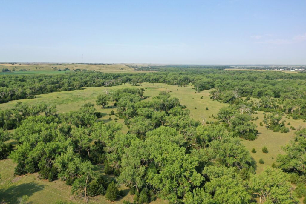 101 Acres, Red Willow County - Red Willow Deer and Turkey Hunting Property 2061 W. Walker Rd. | Lashley Land and Recreational Brokers