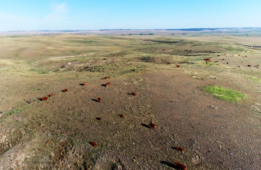 3,051 Acres, Box Butte County - Robert W. Wehtje Ranch-ABSOLUTE AUCTION 400 N. Maple St. | Lashley Land and Recreational Brokers