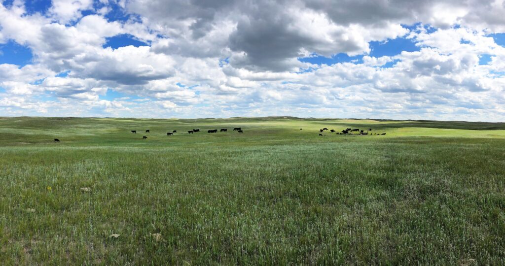 Nebraska land for sale - Grassland in Merriman, Nebraska