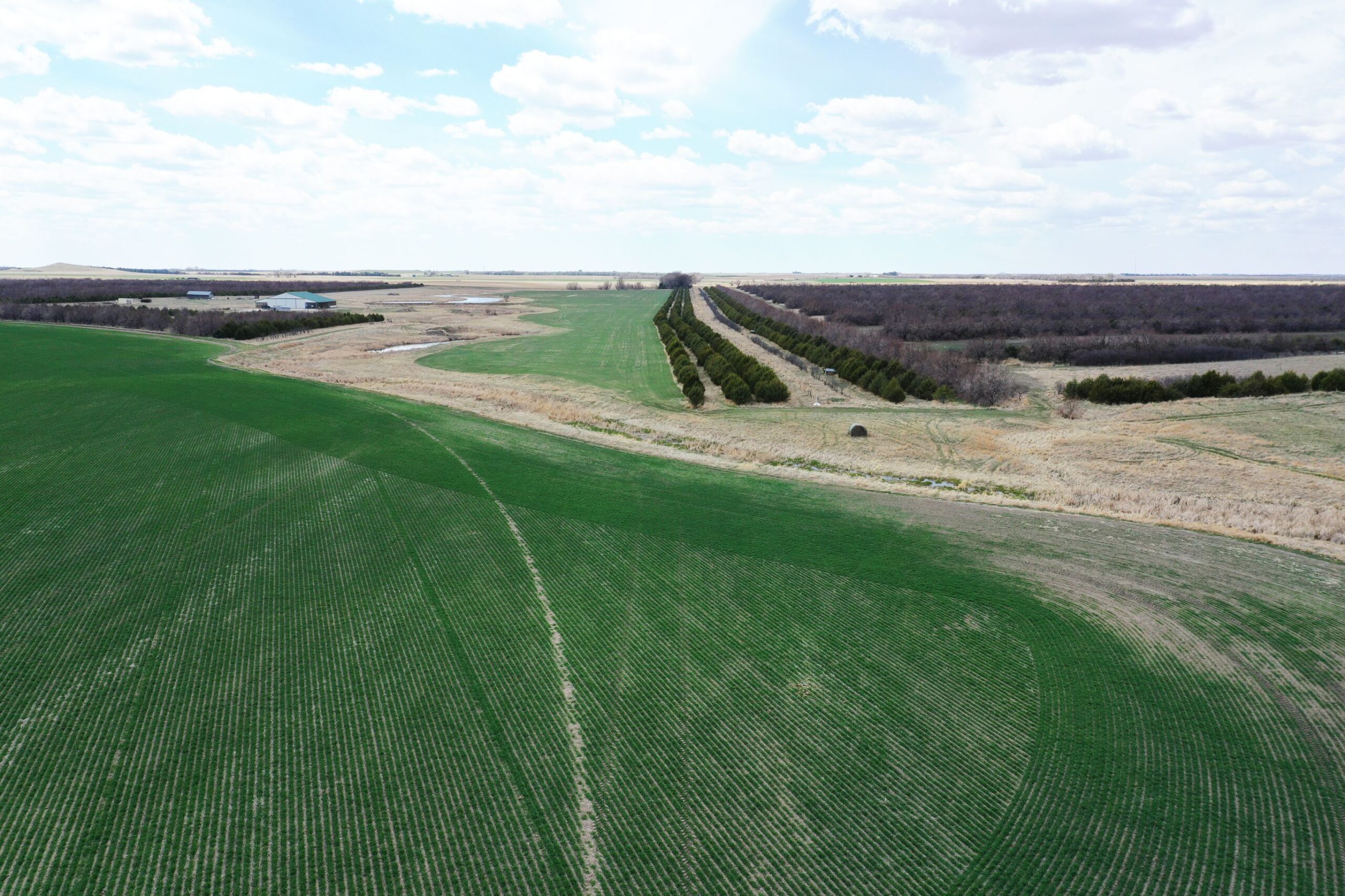 Nebraska Farm and Hunting Land for Sale - Box Butte Creek Recreation, Alliance, Nebraska
