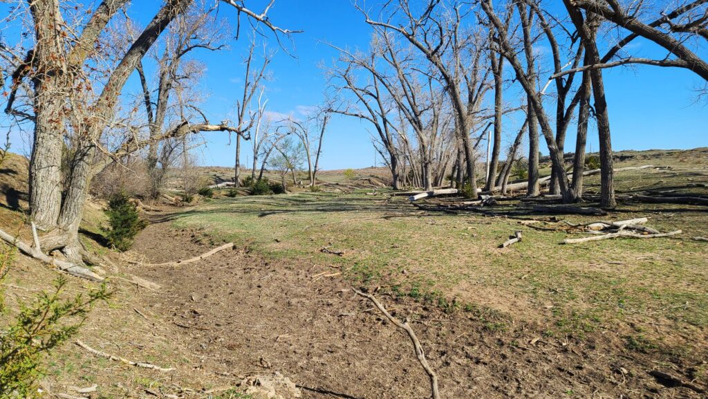 Hunting land for sale in Nebraska near Ender's Reservoir in Enders, Nebraska