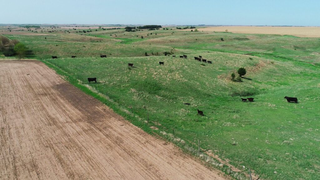 Land for sale: Eastern Frontier County Drycrop and Grass - Cambridge, NE