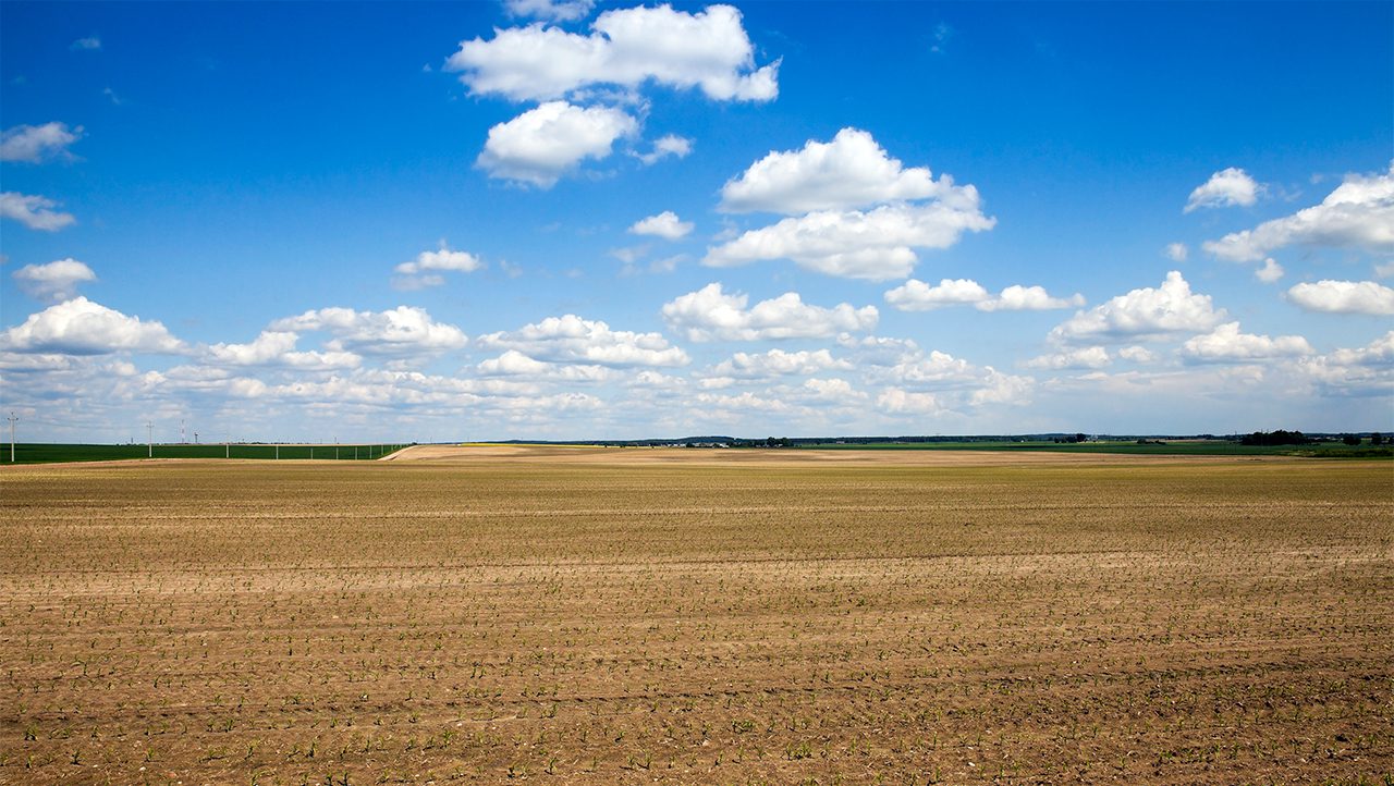 An image representing Nebraska Land for Sale listings by Lashley Land - Harvested corn field with blue, cloud-filled skies.