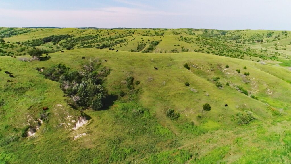 Nebraska Hunting Land for Sale - Brady Hunting Canyon Section - Brady, NE