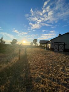 Nebraska land and home for sale