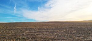 Absolute Auction Keith County, NE land for sale