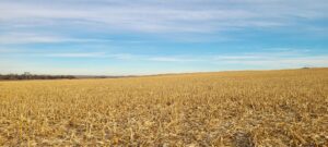 Absolute Auction Keith County, NE land for sale