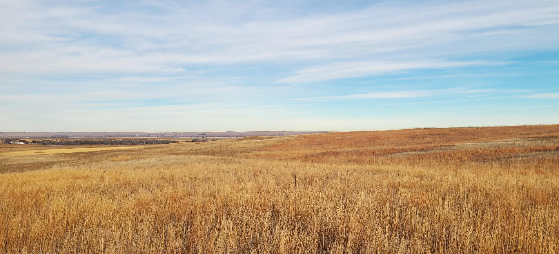 Absolute Auction Keith County, NE farm and ranch land for sale