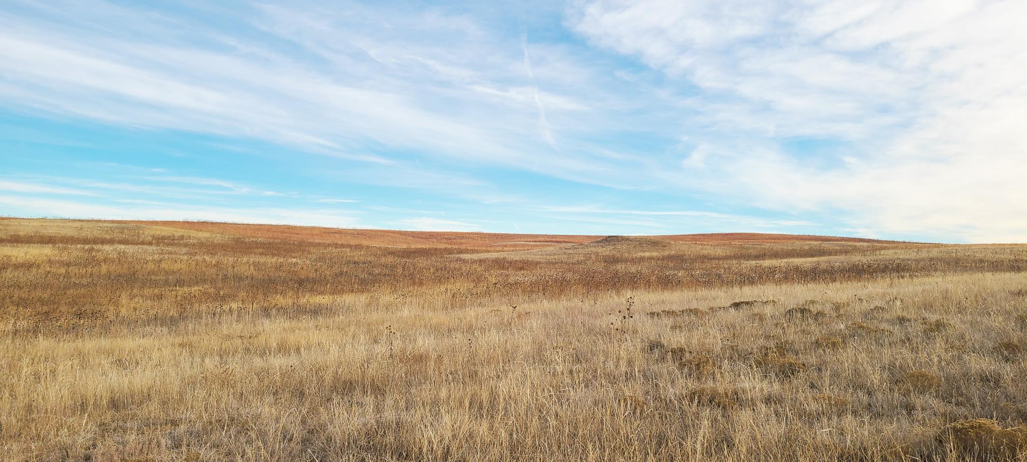 Land Auction Roscoe, NE farm and ranch land for sale